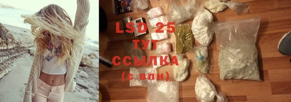 стафф Новозыбков