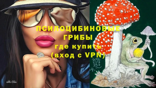 а пвп мука Касимов