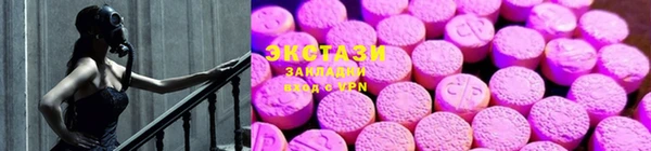 стафф Новозыбков