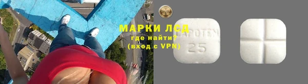 стафф Новозыбков