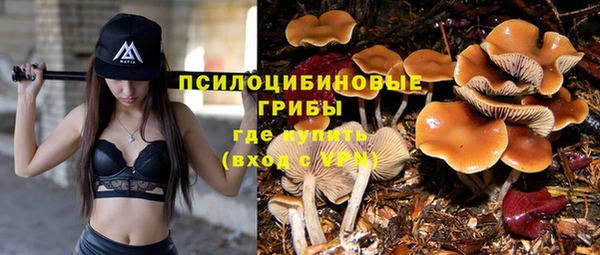 крисы Ахтубинск