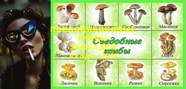 хмурый Нея