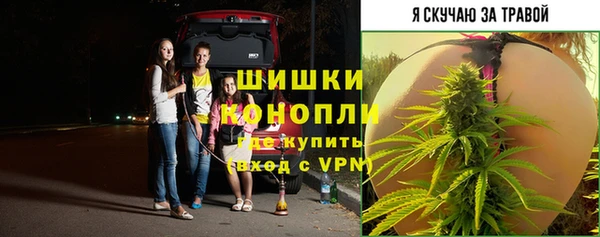 стафф Новозыбков