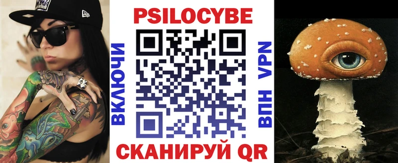 Псилоцибиновые грибы Cubensis Кировск