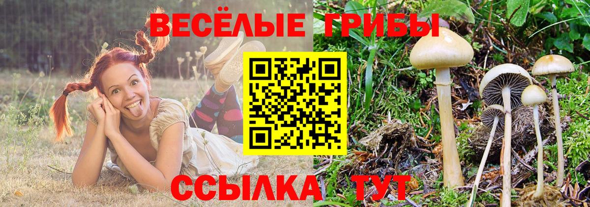 Галлюциногенные грибы Cubensis  Вход с VPN  Галлюциногенные грибы Psilocybine cubensis  Кировск 