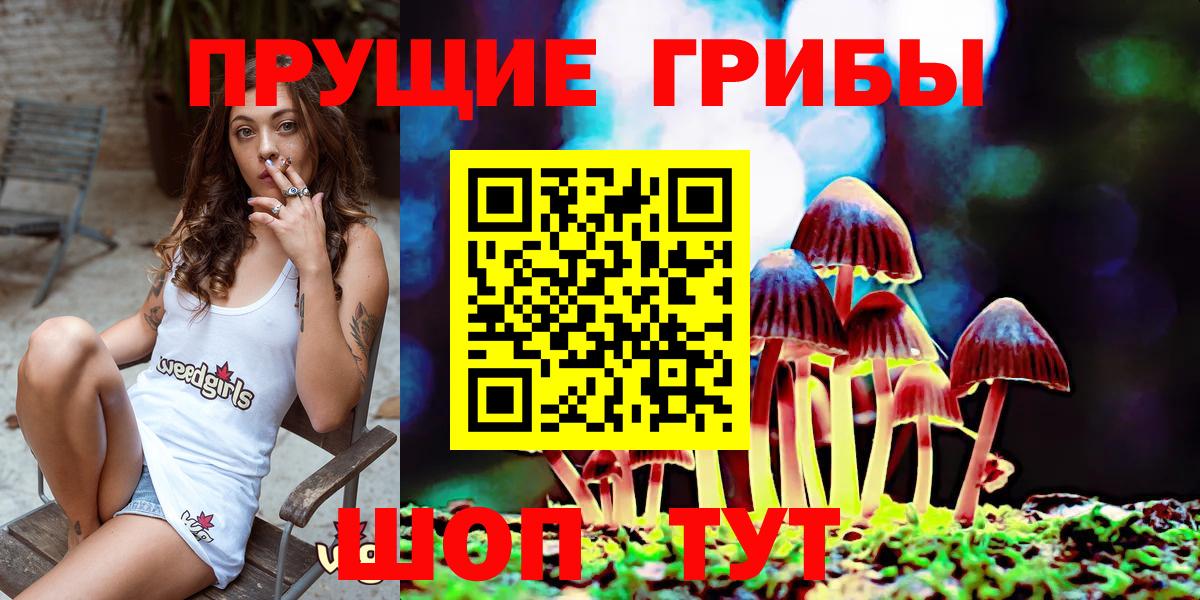 Галлюциногенные грибы GOLDEN TEACHER  Кировск 